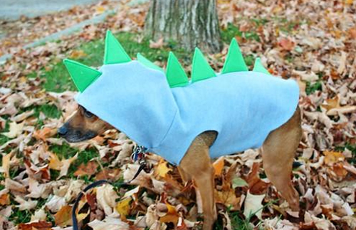 Dino dog costume