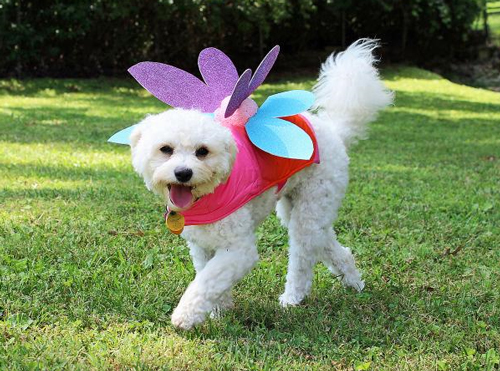 Doggy fairy costume