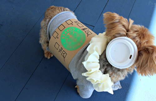 Latte dog costume