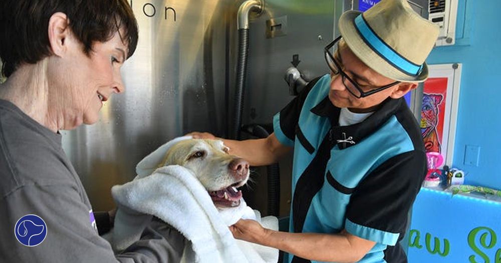 Pet Spa Splash, a groomer in Wichita Falls, TX, made the decision to install an Evolution Dog Wash in their storefront.