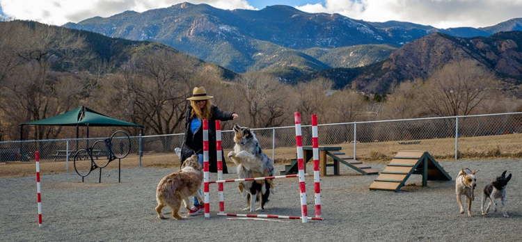 Bear Creek Dog Park — Colorado Springs, Colorado