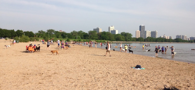 Montrose Beach Dog Park — Chicago, IL
