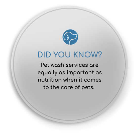 Did you know? Pet wash services are equally as important as nutrition when it comes to the care of pets.