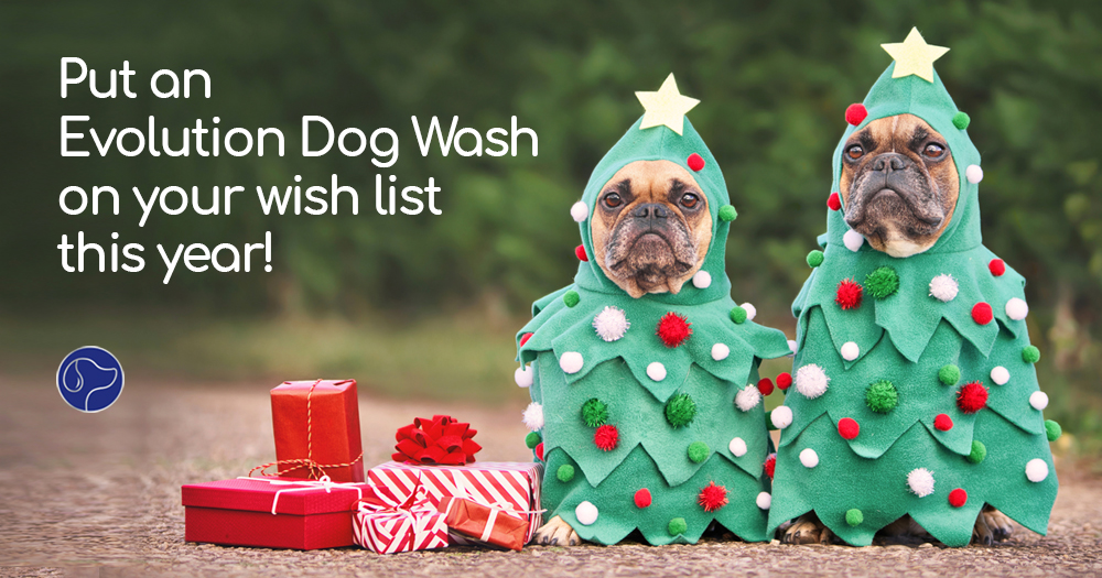 9 Reasons to Put an Evolution Dog Wash On Your Holiday Wish List