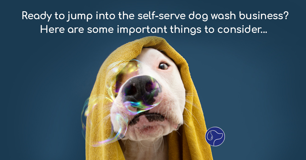 5 Things to Consider Before Adding a Dog Wash Station to Your Business