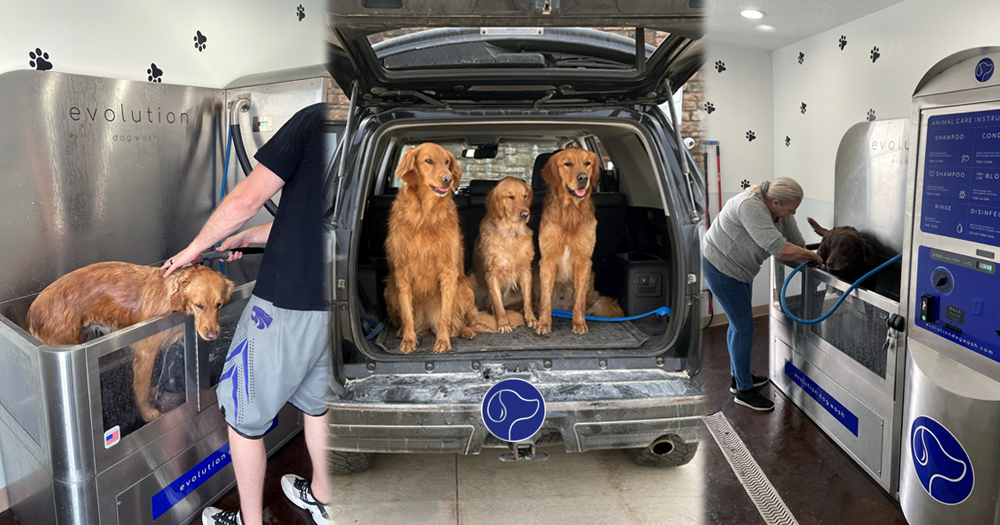 Small Town Kansas Car Wash Sees Big Increase in Traffic after Adding an Evolution Dog Wash