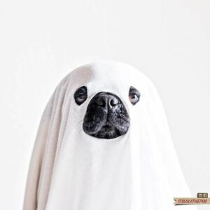 Classic Ghost Costume