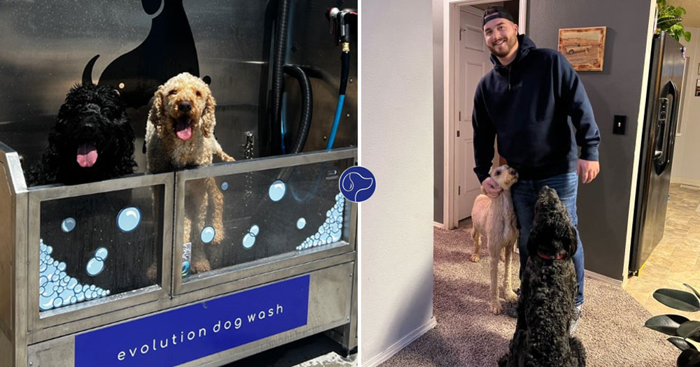 Meet Thomas Ridgwell: An Entrepreneur Generating Passive Income with Evolution Dog Wash