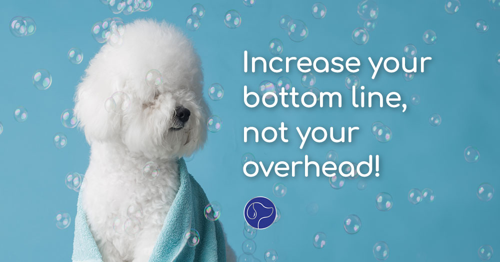 Increase Your Bottom Line without Increasing Your Overhead