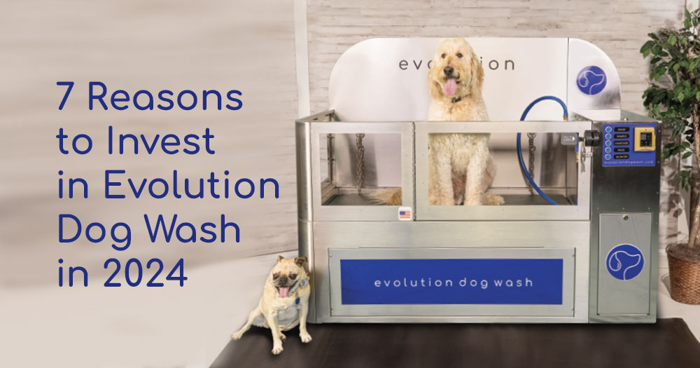 7 Reasons to Consider Evolution Dog Wash in 2024