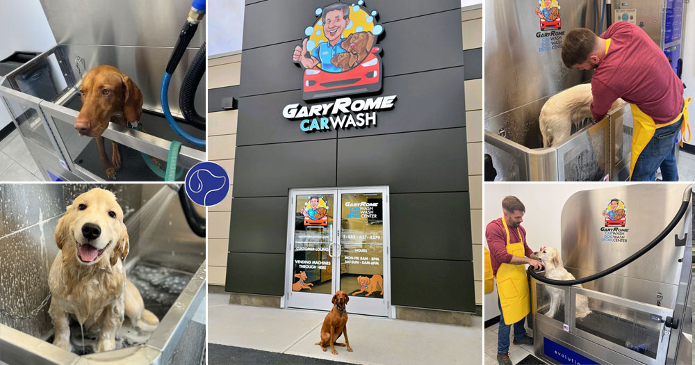 Driving Success: How Gary Rome Hyundai is Diversifying Business with a Car Wash, Automated Dog Wash and Detail Center